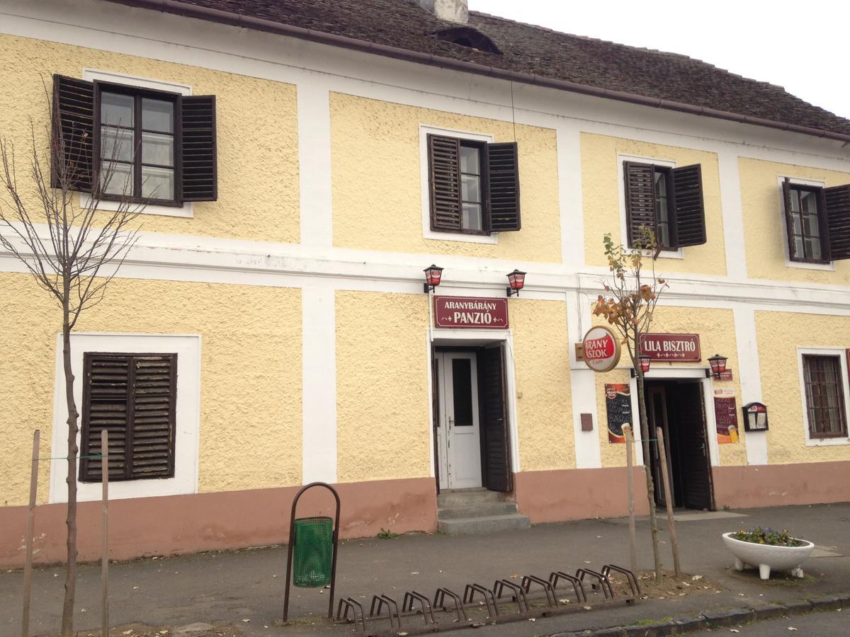 Bed and Breakfast Arany Barany Vendegfogado Letenye Exterior foto